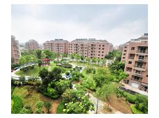 上海大花園