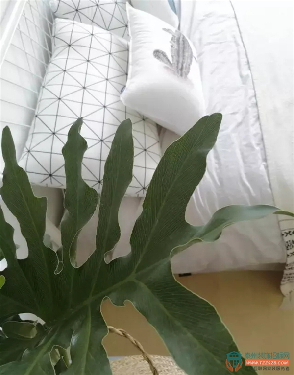 20170912111201_23447.jpg