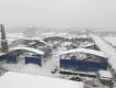 “暴風雪+”陶瓷行業(yè)也曾傷痕累累，該如何應對？
