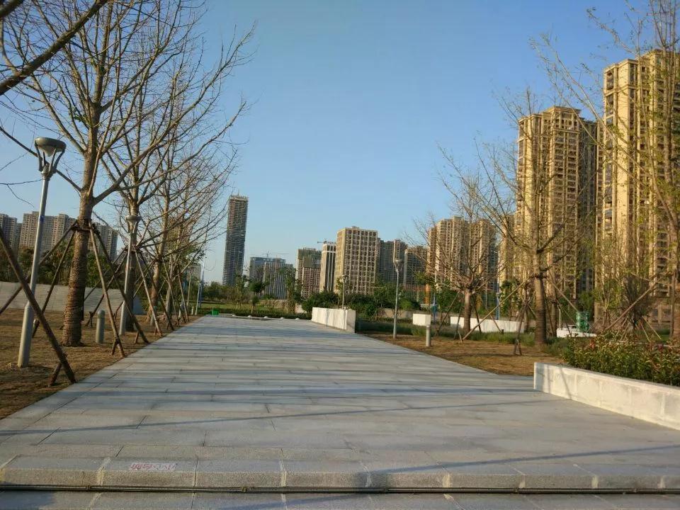 13095021559f1405846542.jpg