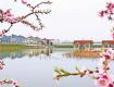好消息！泰州這些村，宅基地和房屋相關(guān)政策放寬……